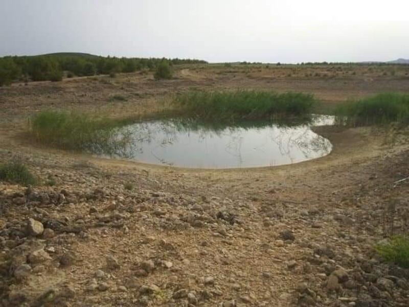 Terrenos en venta