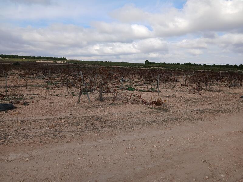 Terrenos en venta