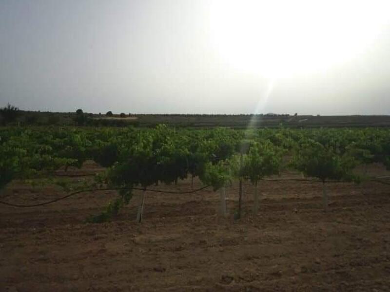 Terrenos en venta