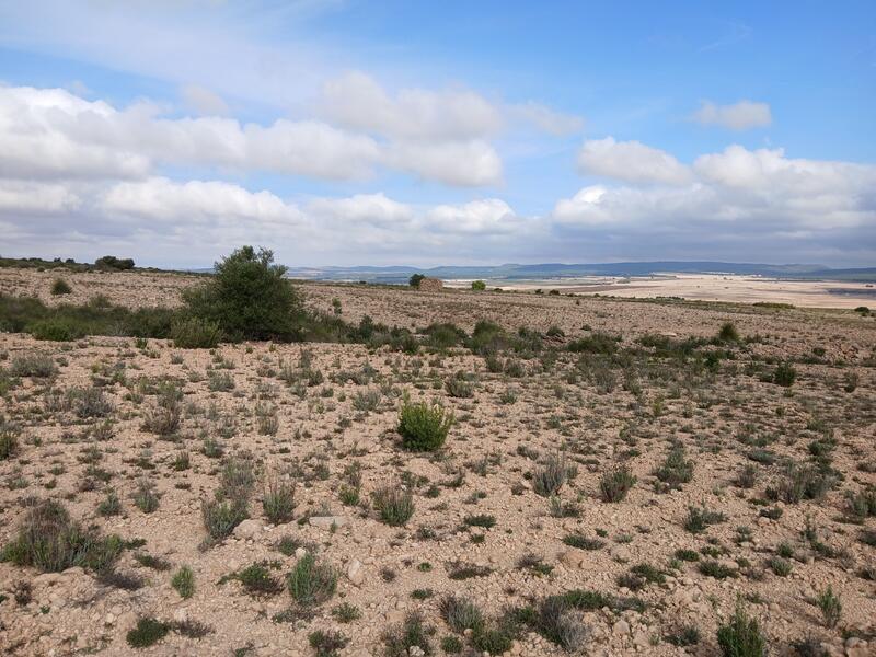 Terrenos en venta