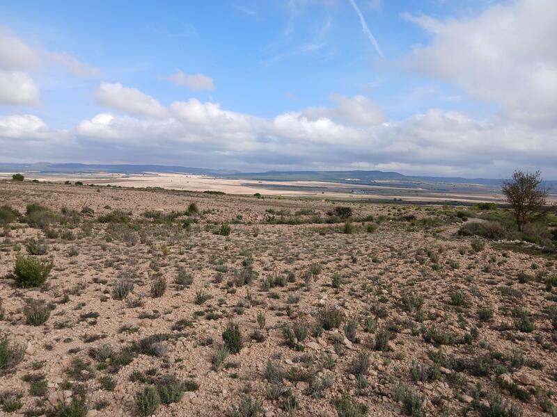 Terrenos en venta