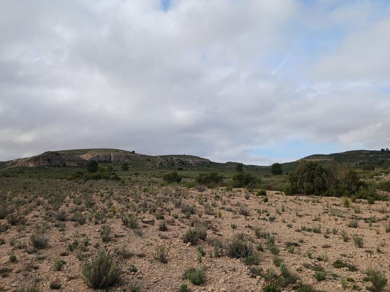 Terrenos en venta