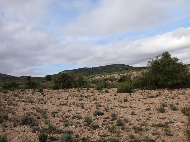 Terrenos en venta