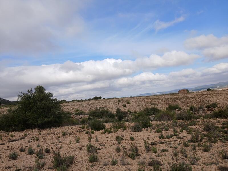 Terrenos en venta