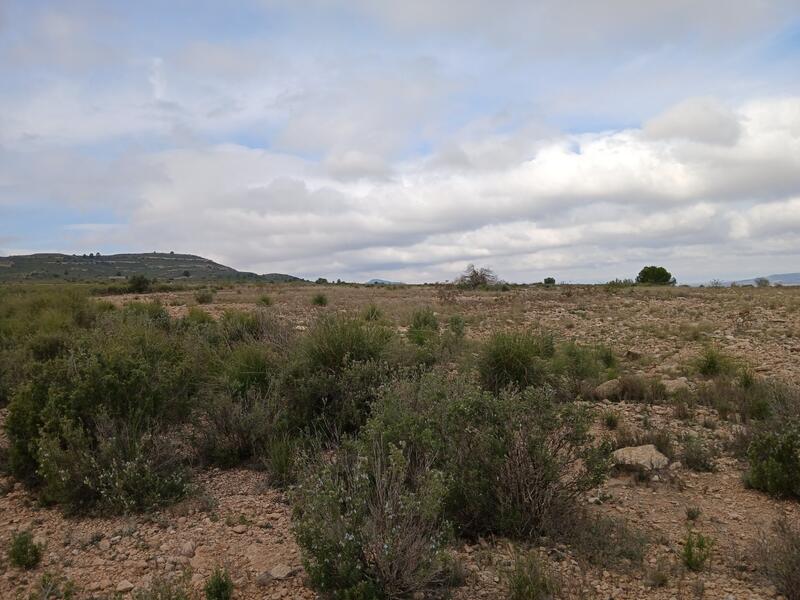 Terrenos en venta