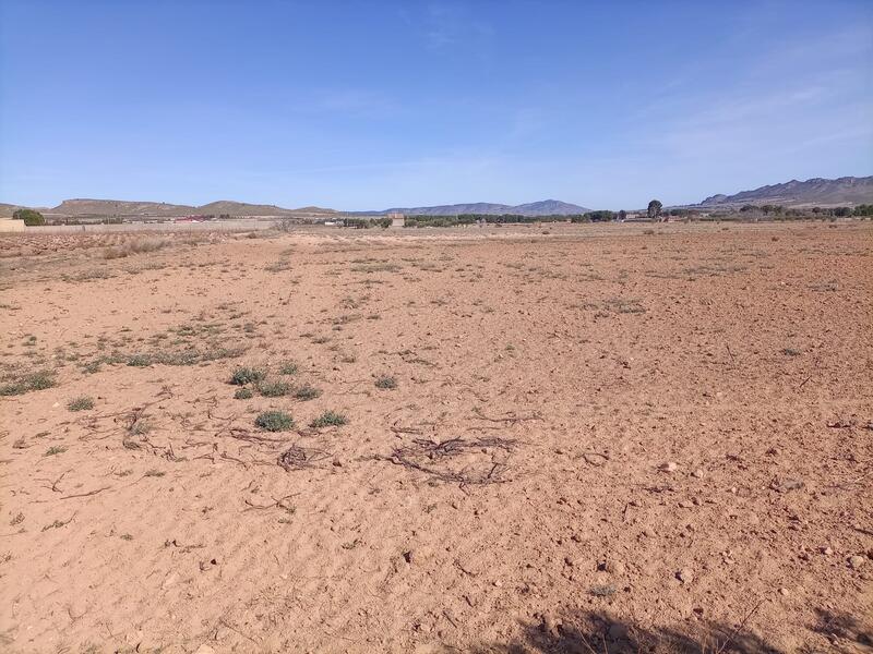 Terrenos en venta