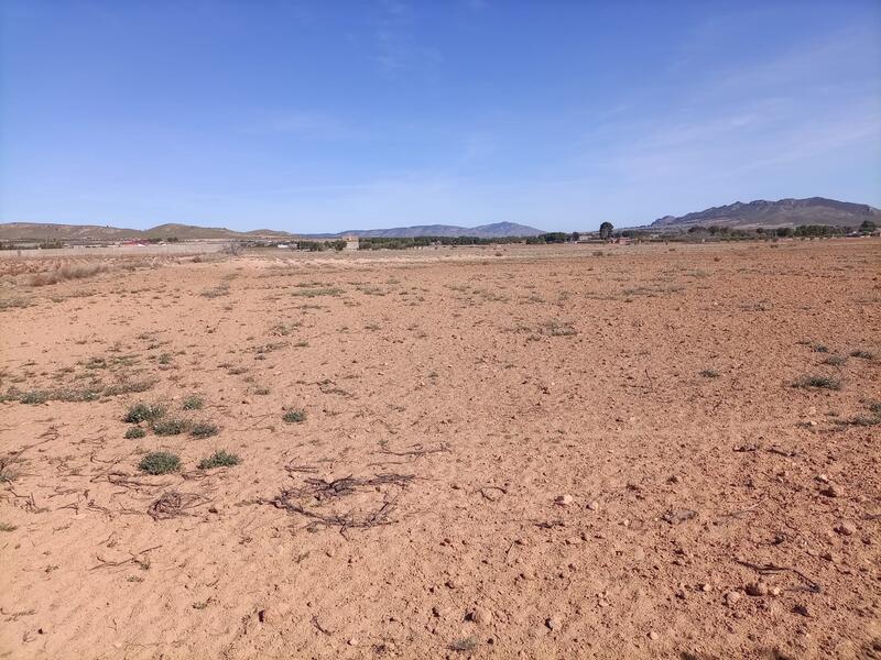 Terrenos en venta