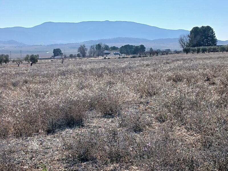 Terrenos en venta en Yecla, Murcia