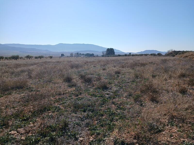 Terrenos en venta
