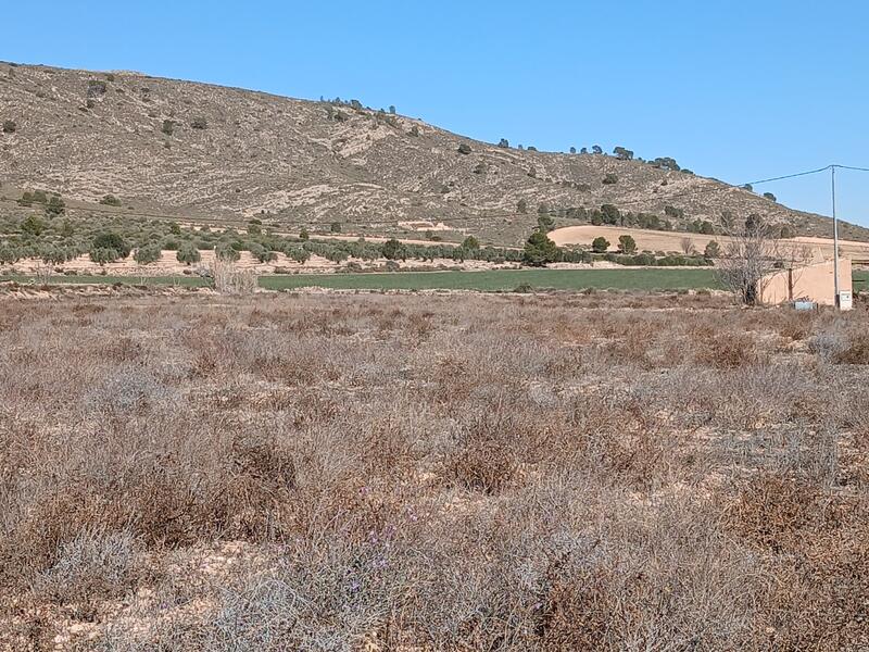 Terrenos en venta