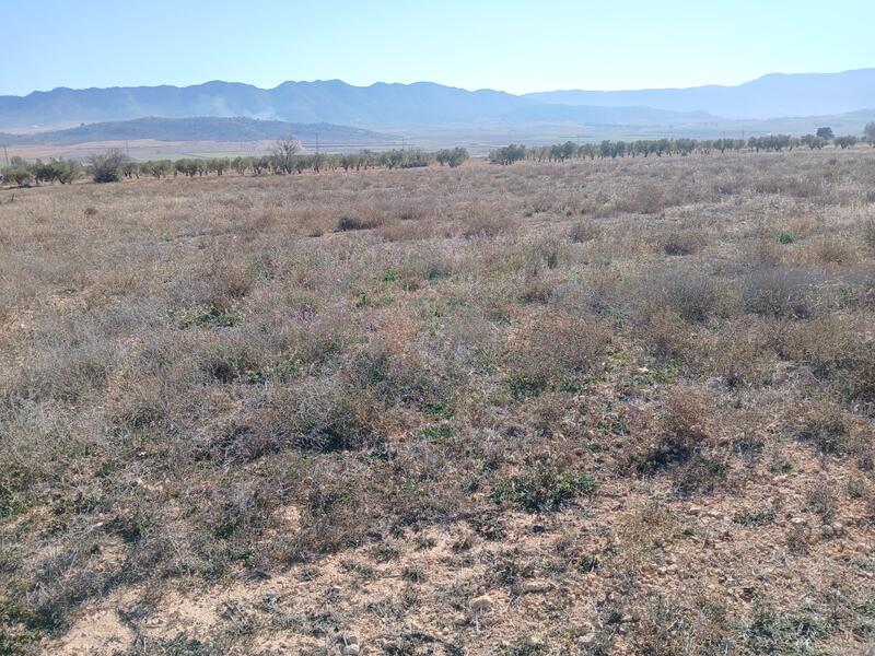 Terrenos en venta