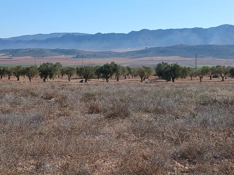 Terrenos en venta