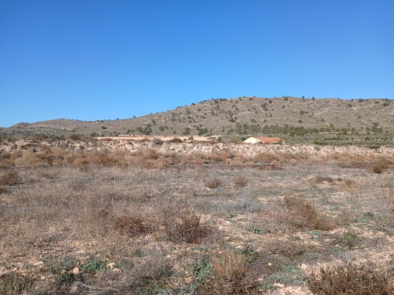 Terrenos en venta