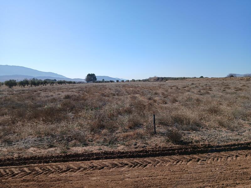 Terrenos en venta