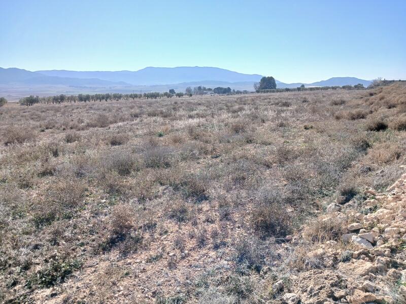 Terrenos en venta