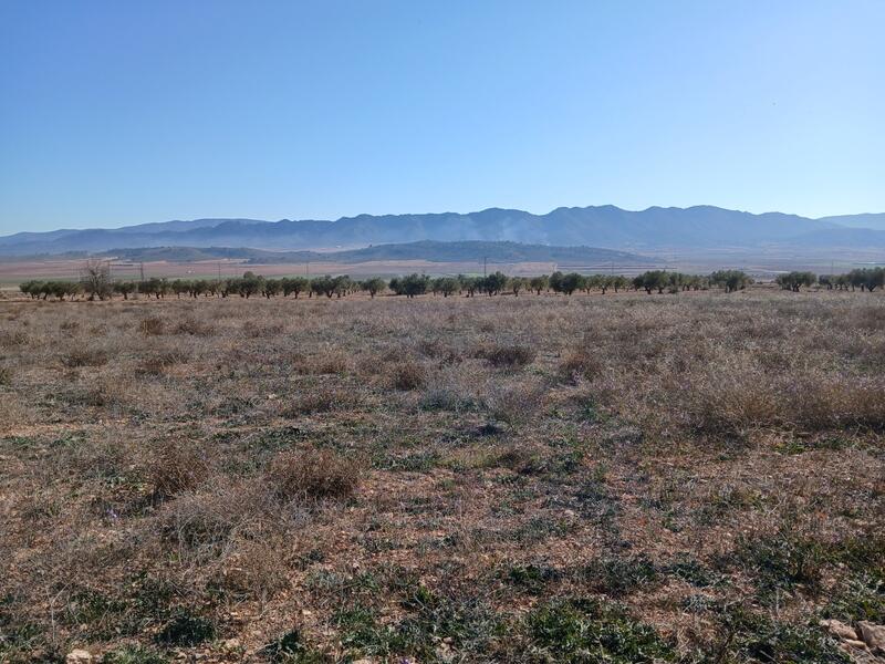 Terrenos en venta