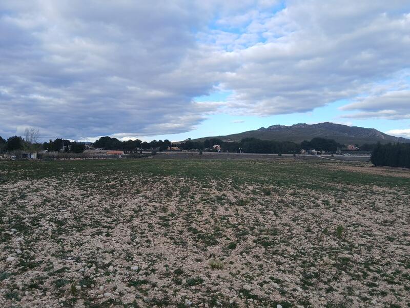 Terrenos en venta