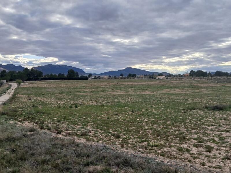 Terrenos en venta