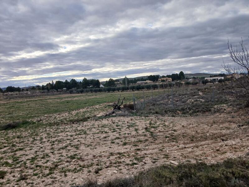 Terrenos en venta