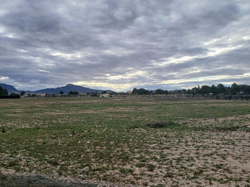 Terrenos en venta