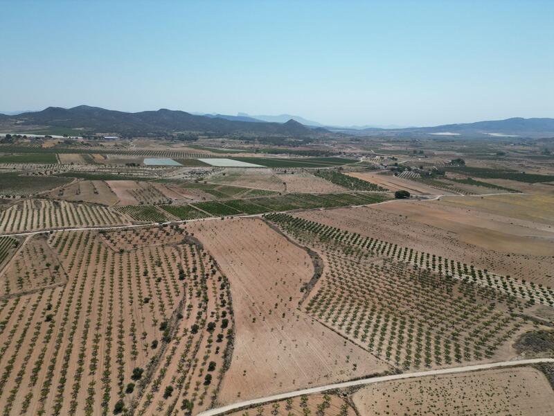 Land for sale