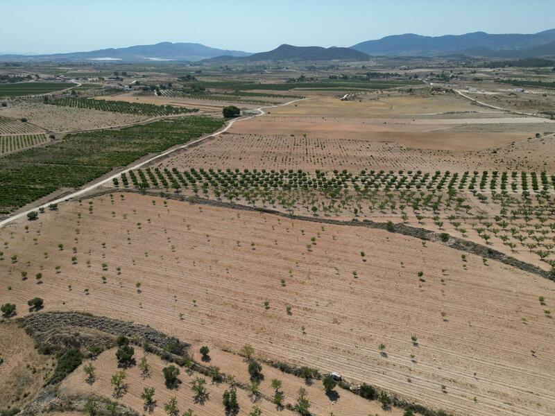 Land for sale