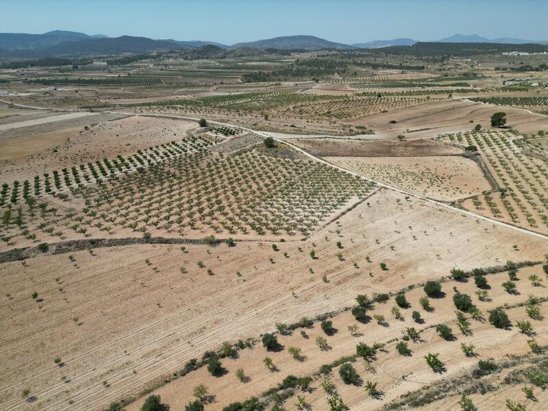 Land for sale