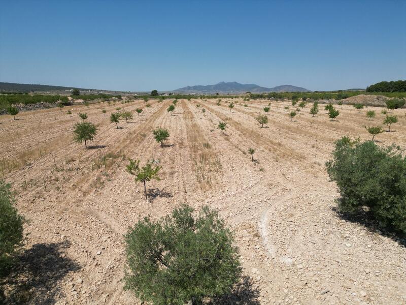 Land for sale