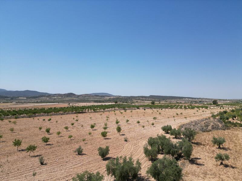 Land for sale