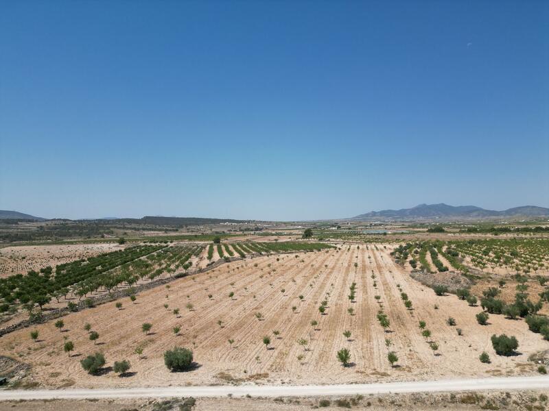 Land for sale