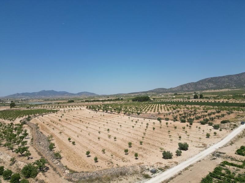 Land for sale