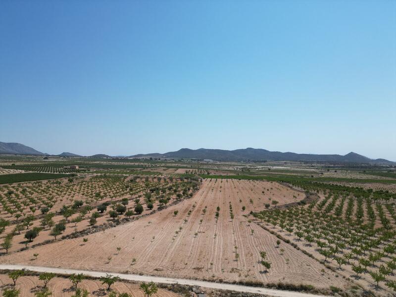 Land for sale