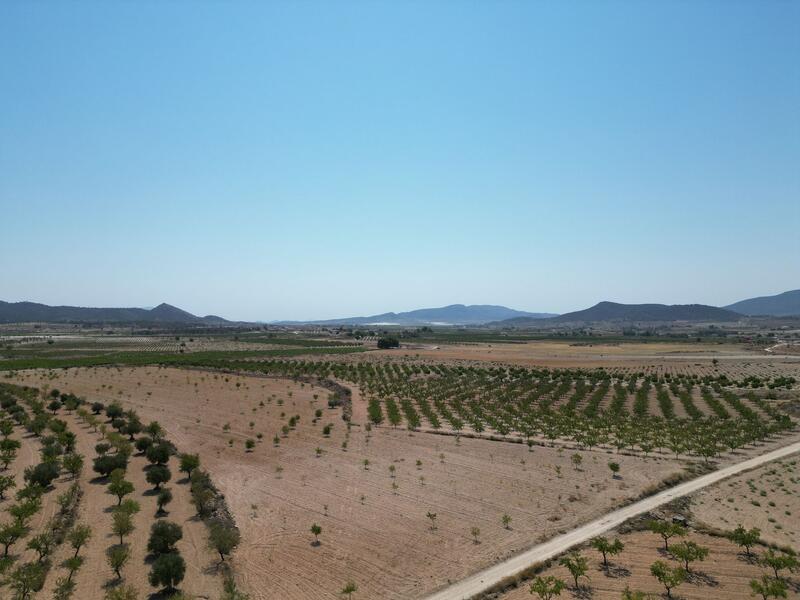 Land for sale