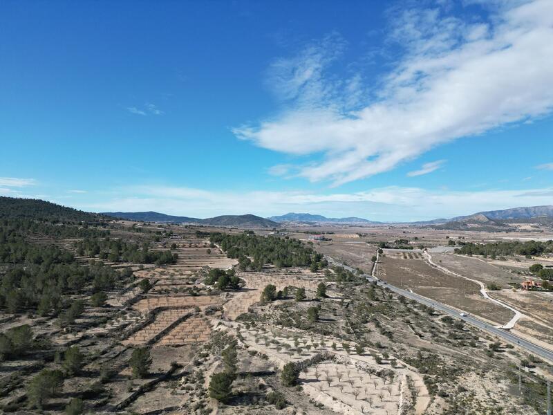Land for sale
