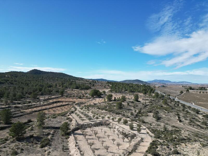 Land for sale