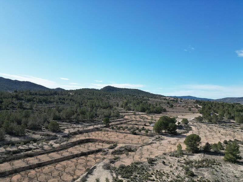 Land for sale