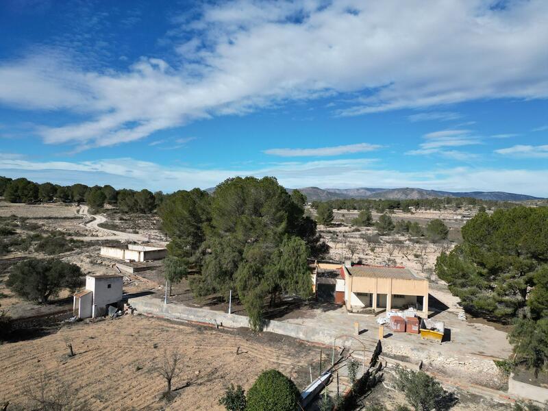 Land for sale