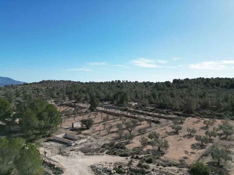 Land for sale