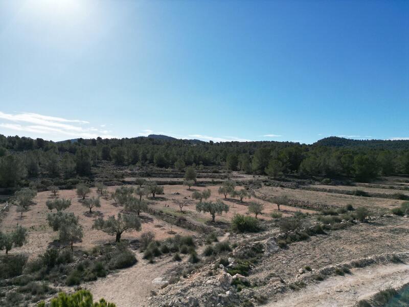 Land for sale