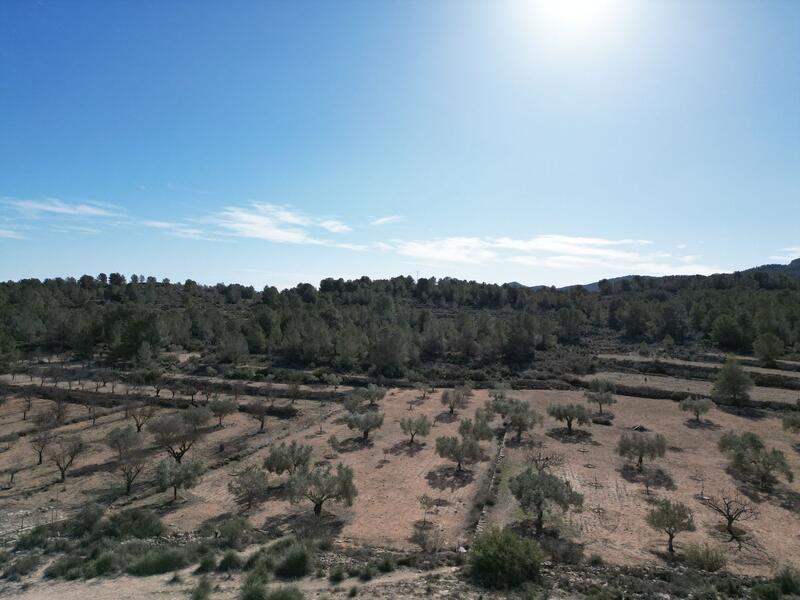 Land for sale