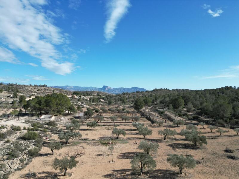 Land for sale
