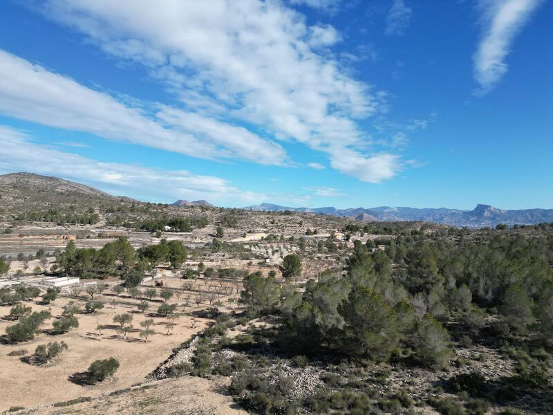 Land for sale