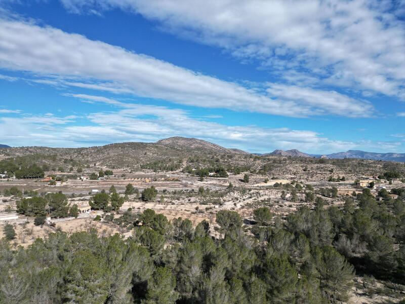 Land for sale