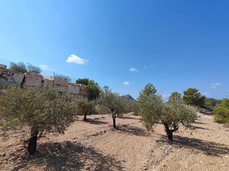 4 chambre Villa à vendre