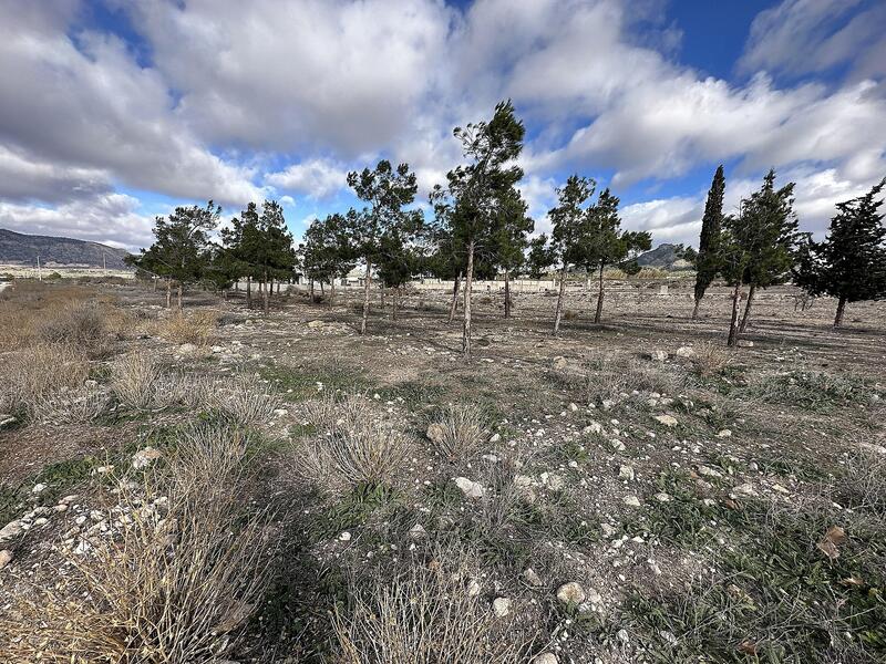 Land til salgs i Salinas, Alicante