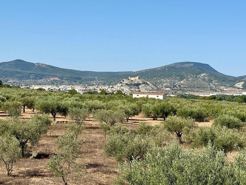 3 bedroom Villa for sale