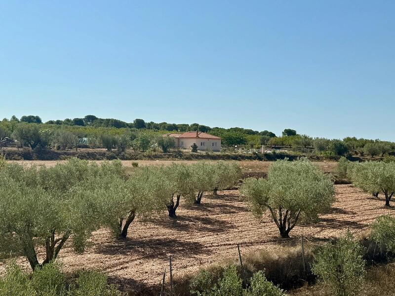 3 bedroom Villa for sale