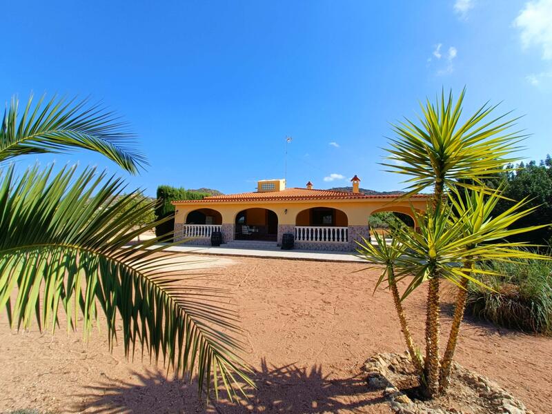 Villa à vendre dans Aspe, Alicante