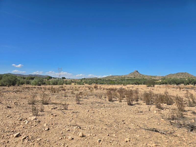 Land for sale in Salinas, Alicante