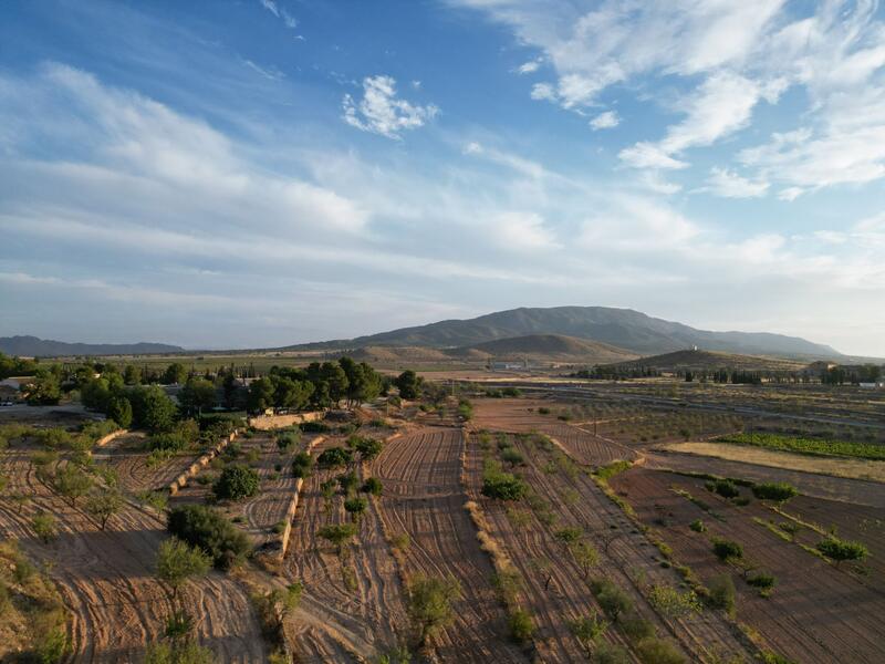 Land til salgs i Pinoso, Alicante